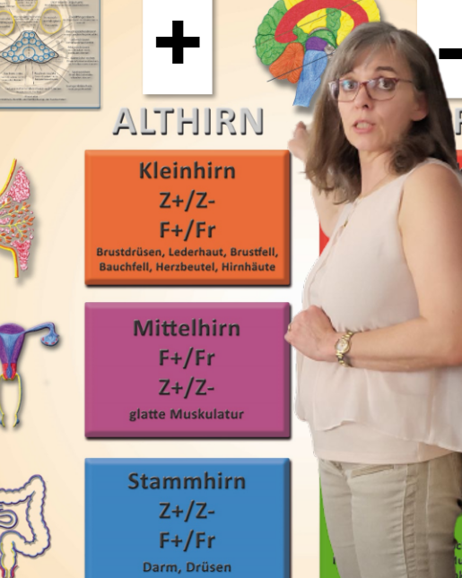 Biologisches-Heilwissen Grundlage