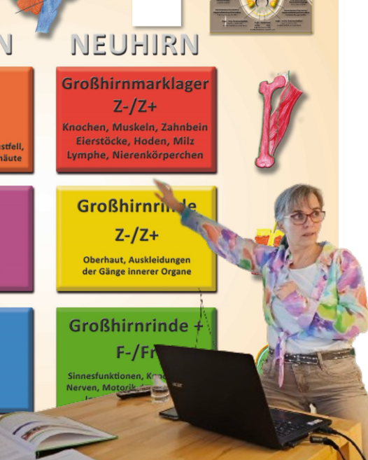 Grundlagenausbildung II